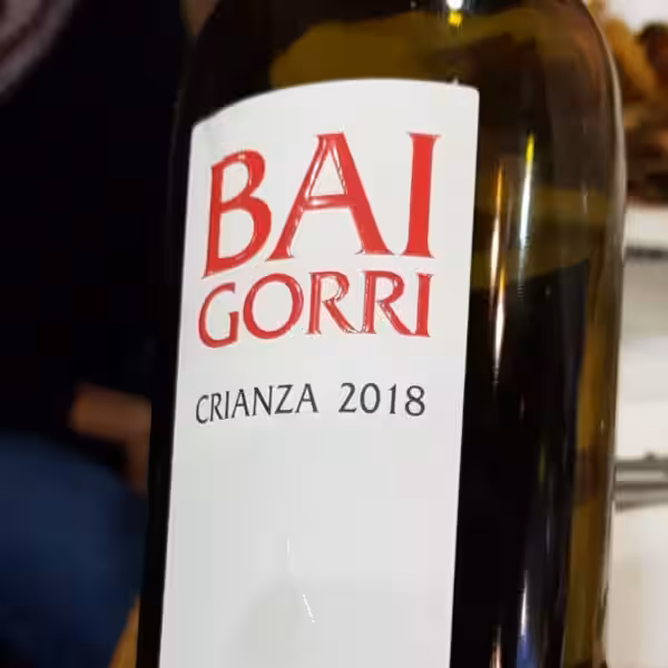 Descubriendo el Encanto Único de Baigorri: Más Allá de una Botella de Vino