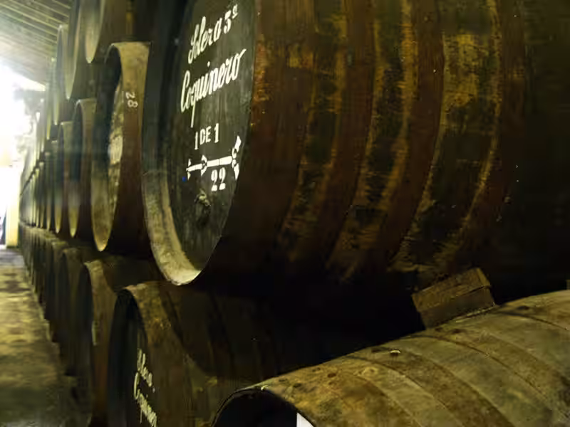 Bodegas Osborne: Un Viaje Inmersivo a la Tradición y la Innovación del Brandy y el Jerez
