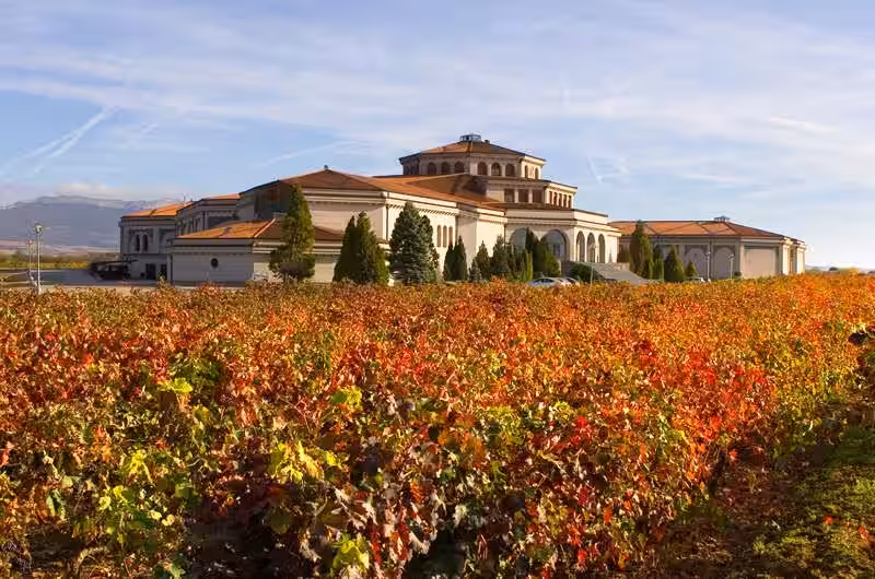 Bodegas Campillo: Una Joya Enológica en el Corazón de Rioja Alavesa