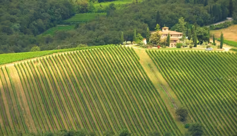 Descubriendo el Alma de la Toscana: Un Viaje por el Mundo del Chianti