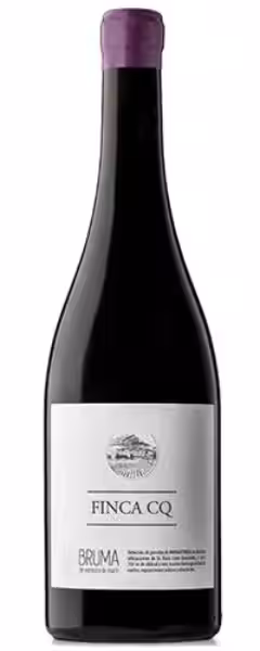 Finca CQ Bruma: Un Viaje al Corazón del Terruño en Jumilla