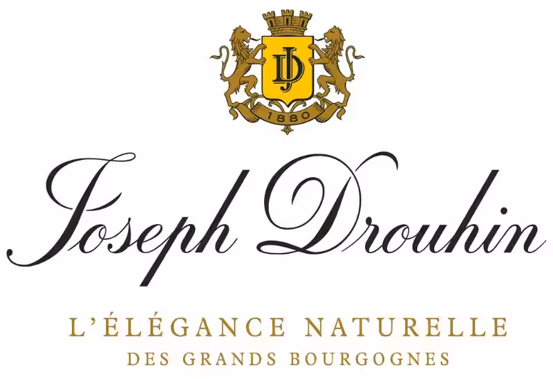Maison Joseph Drouhin: Un Legado de Vino y Terruño Borgoñón