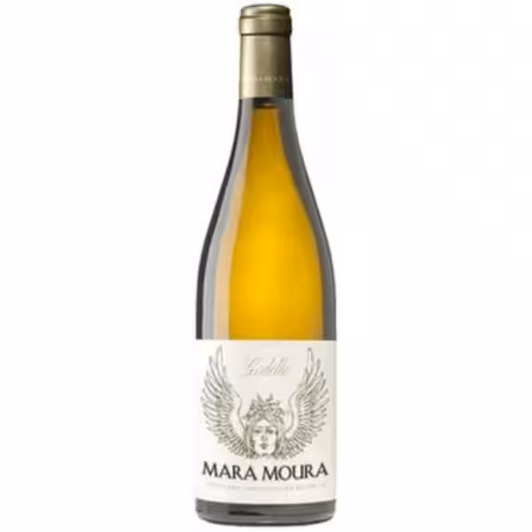 Descifrando el Acceso a tu Mundo Digital: La Guía Completa del Login en Instagram