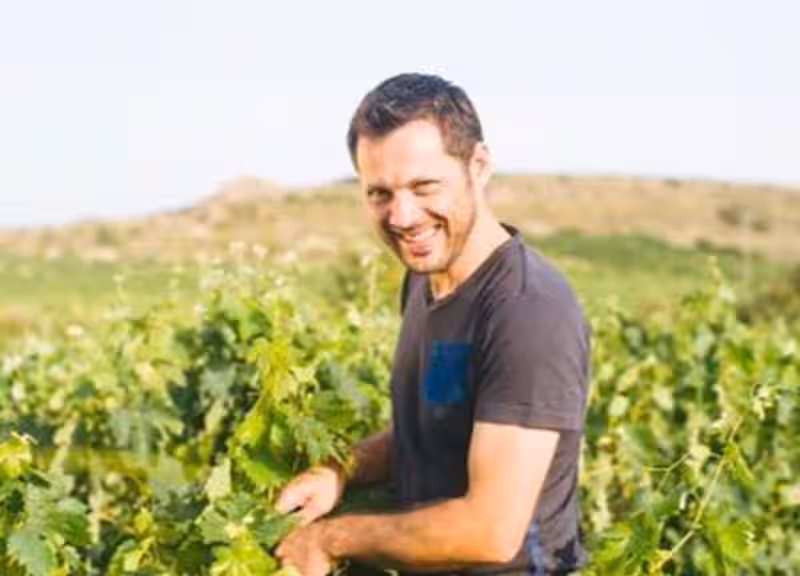 Olivier Rivière: Un Visionario Biodinámico que Redefine la Expresión del Terroir en España