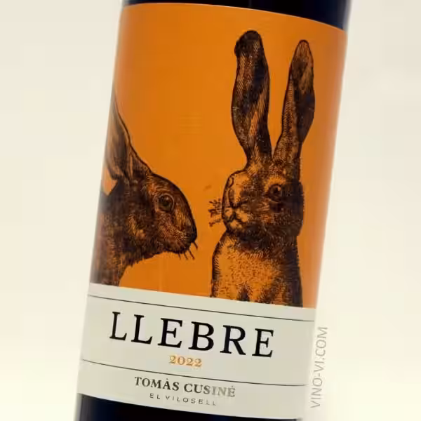 son_llebre_vino