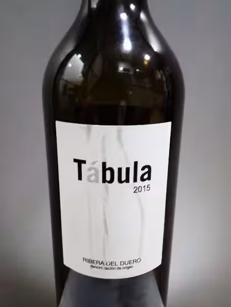 Tábula Vino: Descubriendo la Esencia de Ribera del Duero
