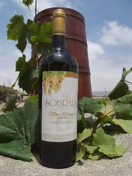 Descubriendo el Encanto del Vino Tinto Seco: Tu Guía Completa