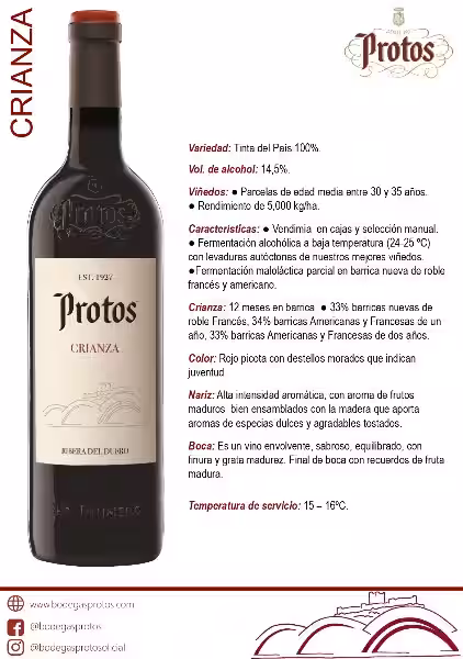 La Clave para una Experiencia Digital Óptima: Comprendiendo tu Visita Protos